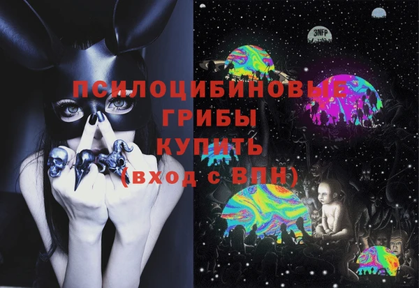 спиды Елабуга